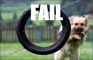 dumb dog jumping through tyre fail