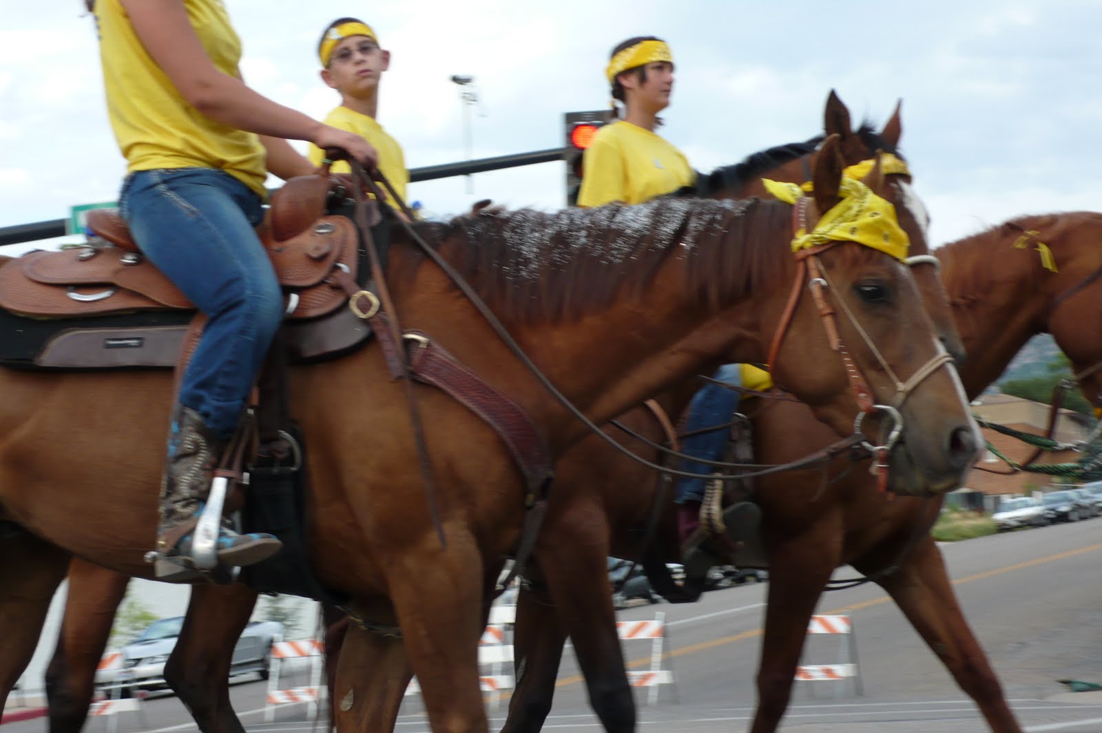 Read About Rachel Horse and Hitch Parade