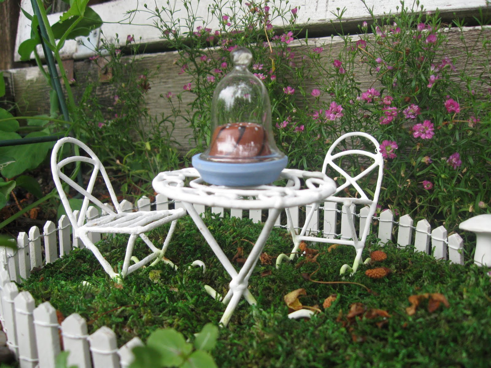 Moth and Sparrow: The Fairy Garden