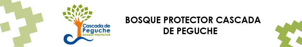 BOSQUE PROTECTOR CASCADA DE PEGUCHE