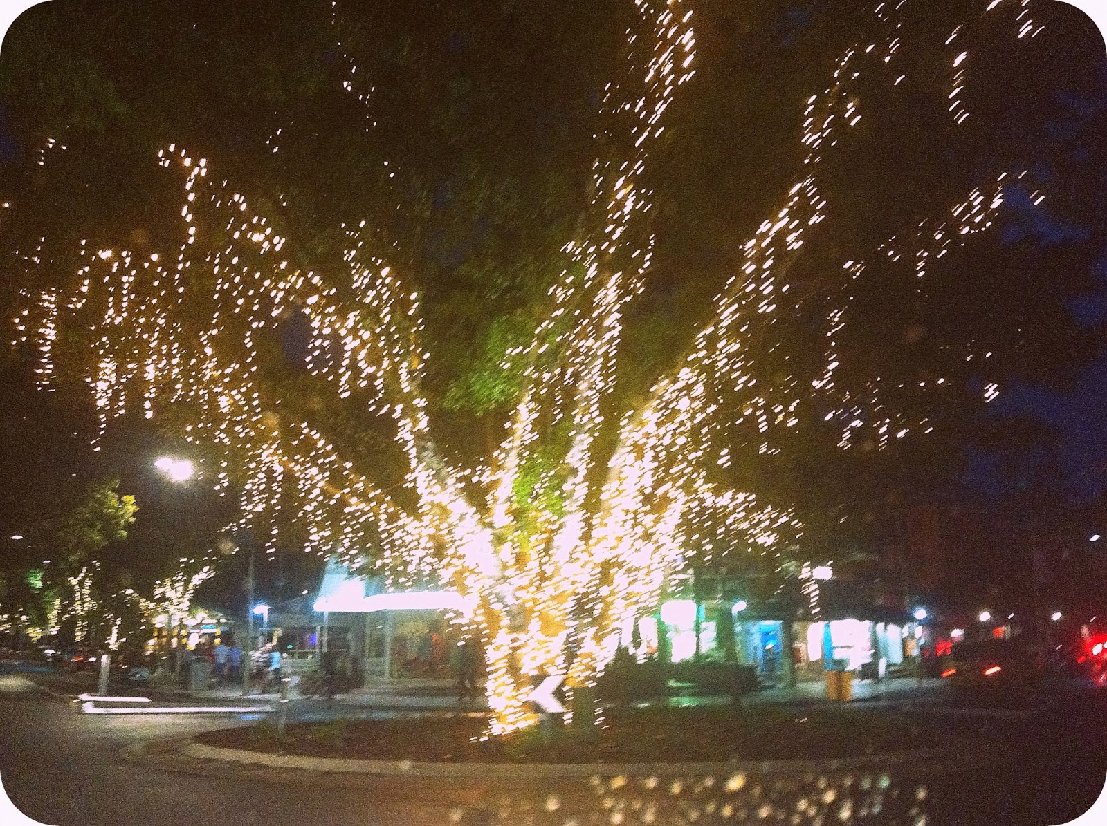 A Tray of Bliss Christmas in the Tropics....Hastings Street, Noosa Heads