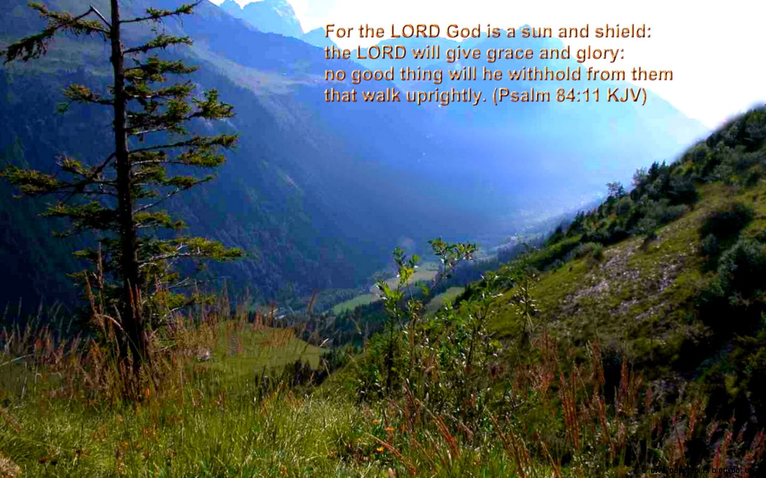 Scenic Pictures with Bible Verses Scenic Pictures with Bible Verses
