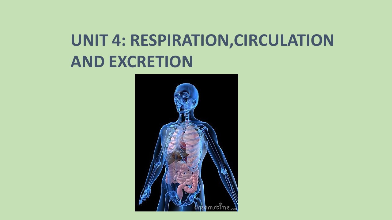 Esquemas de Natural Science 4º Primaria UNIT 4 RESPIRATION