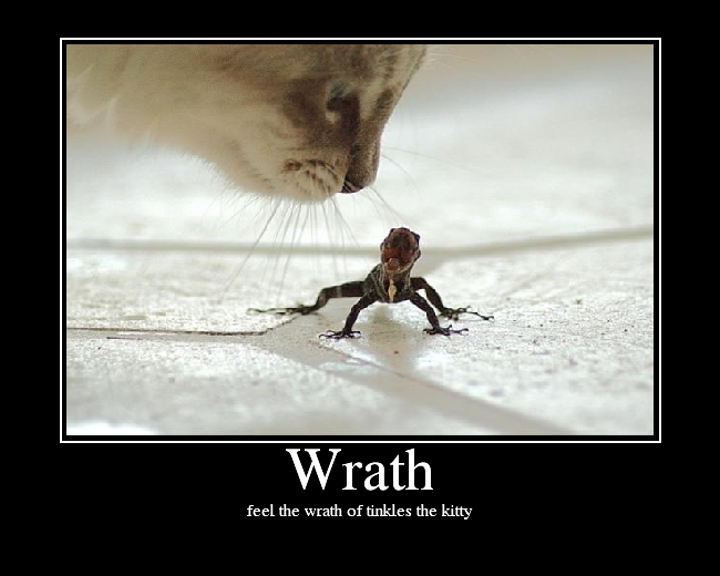 Sunday April 10, 2011: Wrath