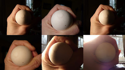 Phases of the Moon Egg Activity