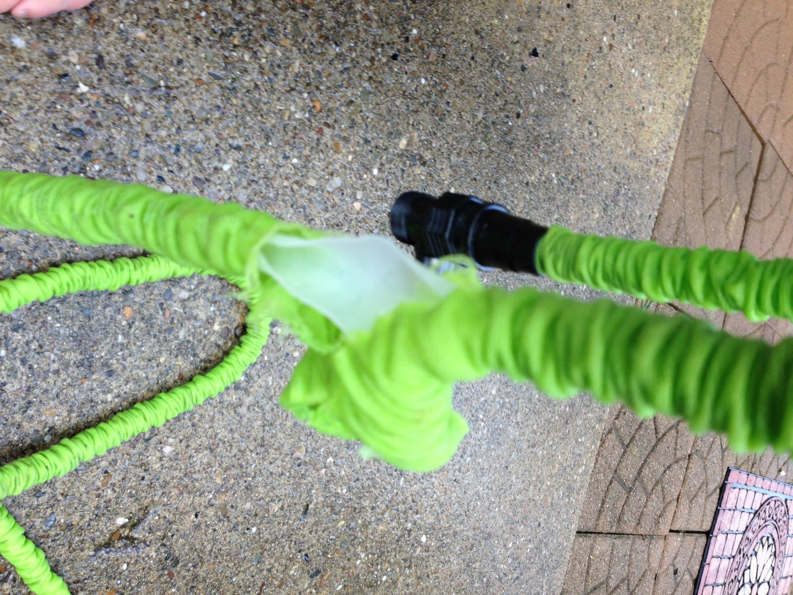 The Nifty Thrifty Family The Pocket Hose