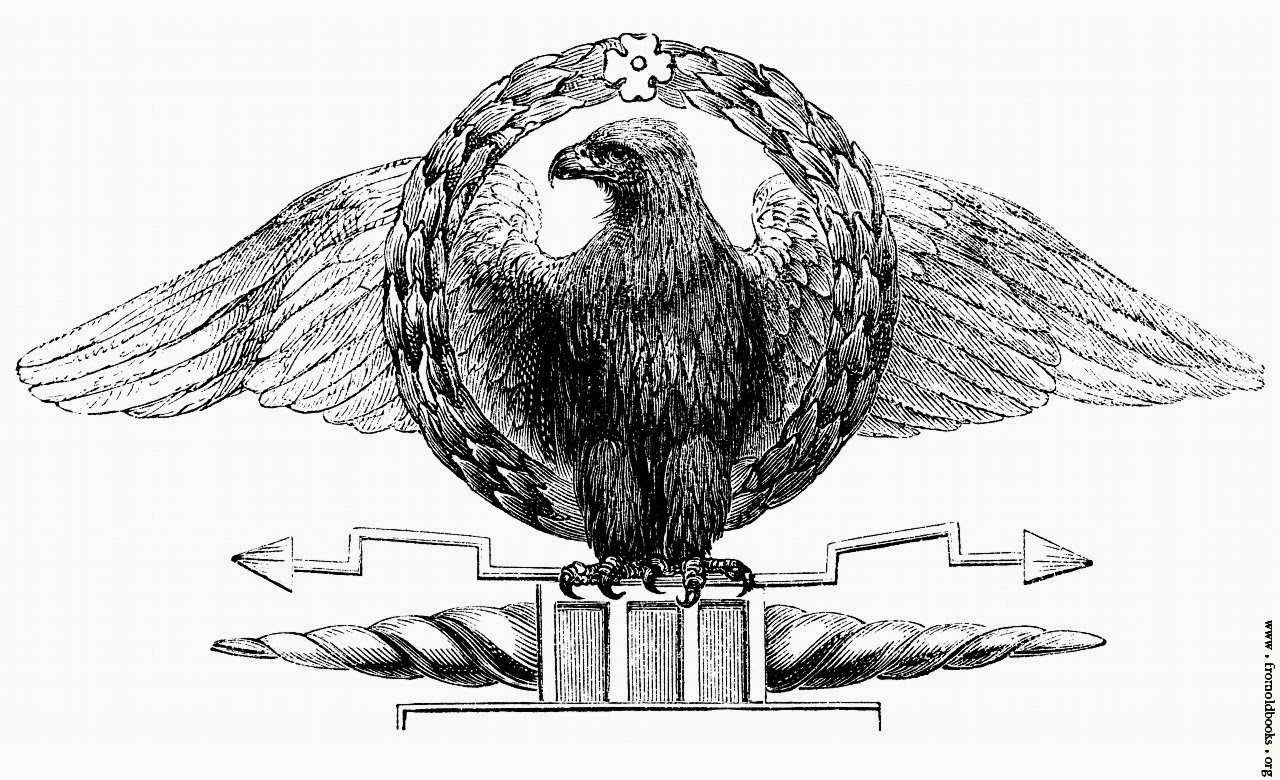 Rules of the Jungle Interesting Facts About Eagles