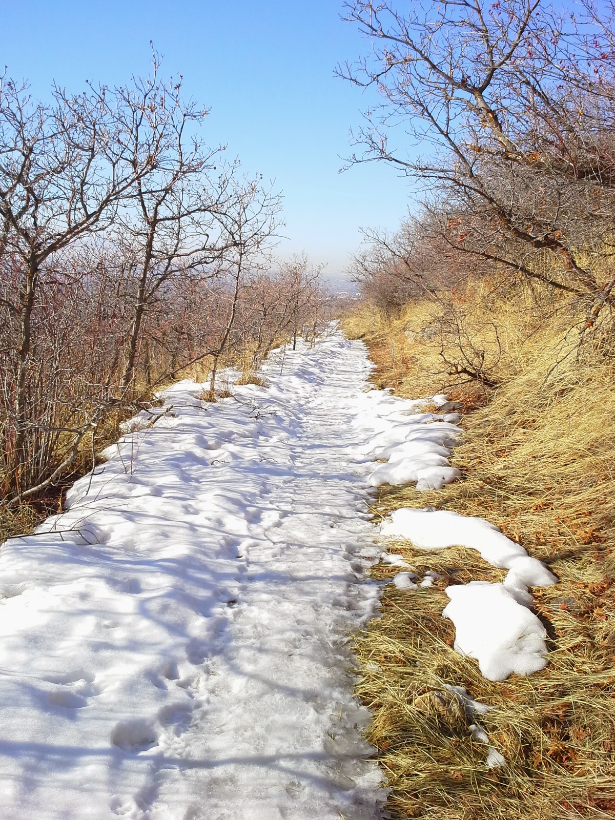 A Hike a Day Keeps Me Sane North Fork Deaf Smith Canyon