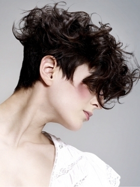 Short Curly Hairstyles 2014 Curly Hair Images
