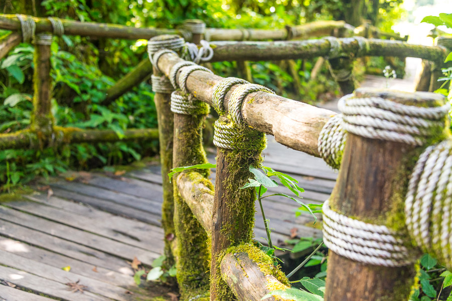 Doi Inthanon National Park