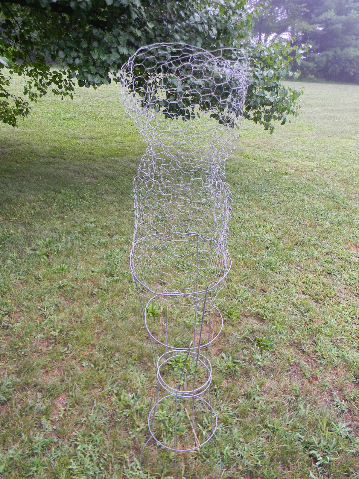 Artistic Endeavors 101 A Dress Form from Old Chicken Wire...