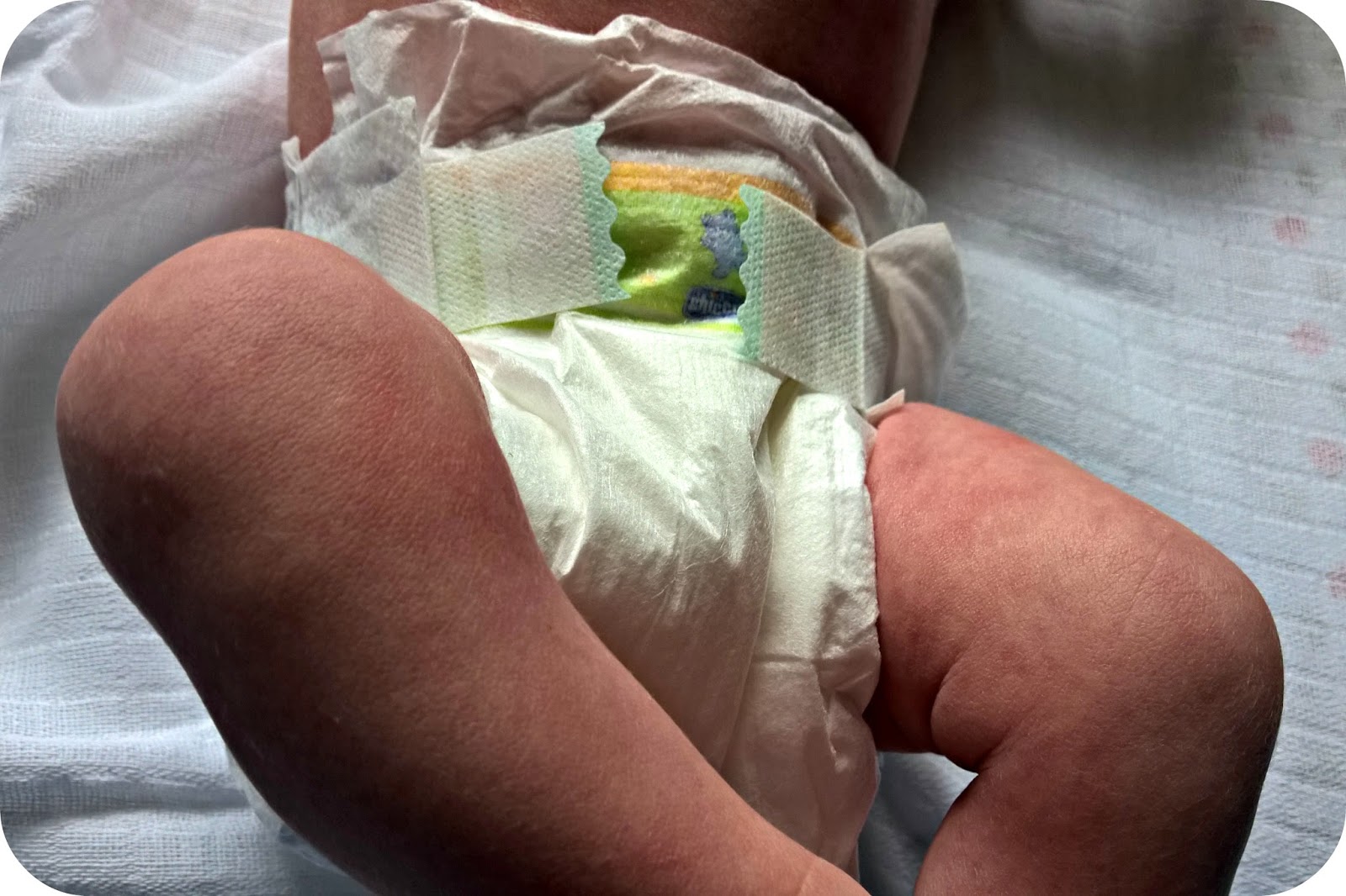 chicco nappies