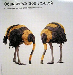 В течение суток ожидайте Я Интернет и Билайн