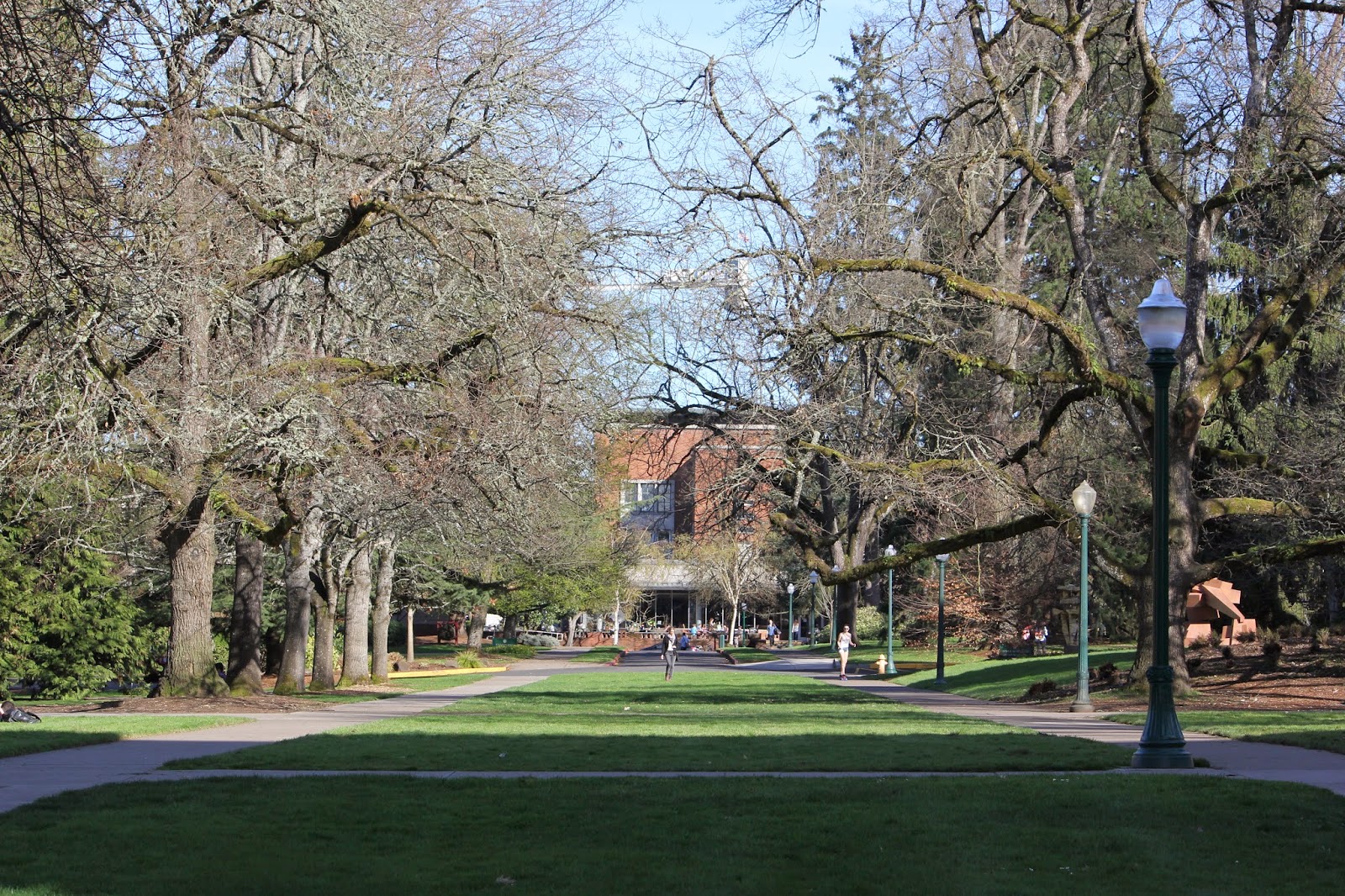 University of Oregon Campus 2015