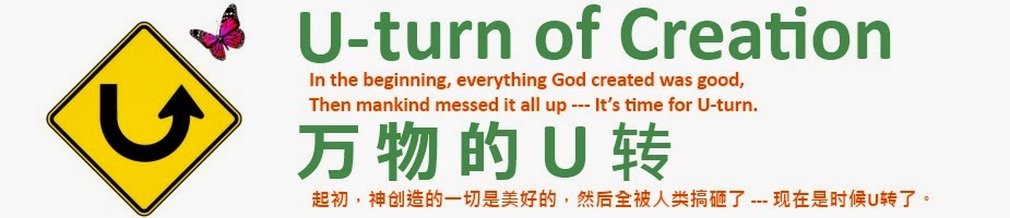 U Turn Of Creation | Articles