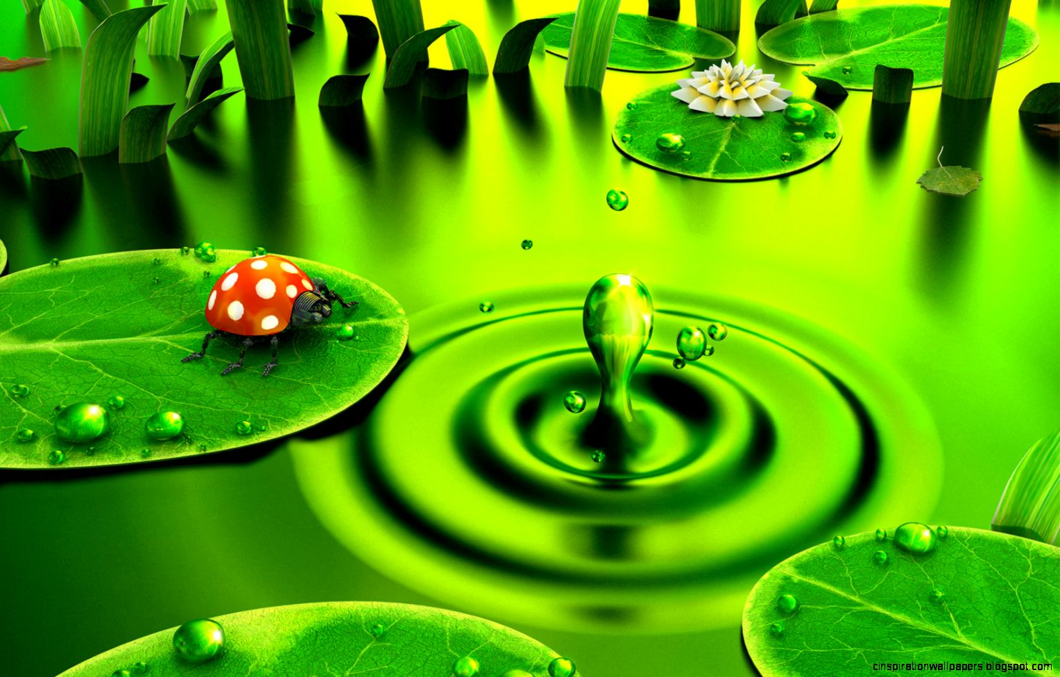 High Definition Wallpapers Widescreen Lcd Desktop Wallpapers High Definition Wallpapers Widescreen Lcd Desktop Wallpapers