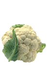 Coliflor