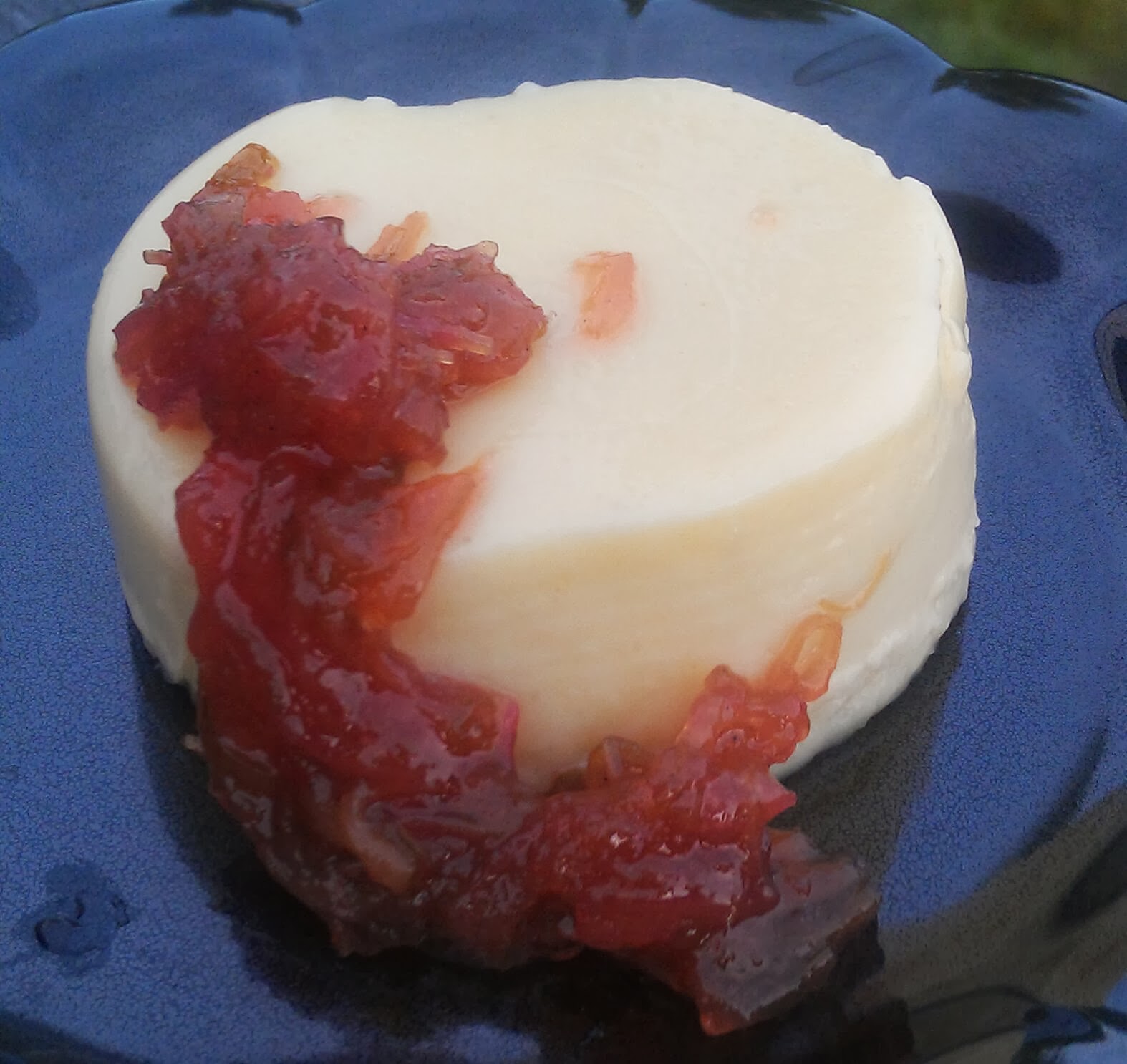 vit chokladpannacotta gelesocker