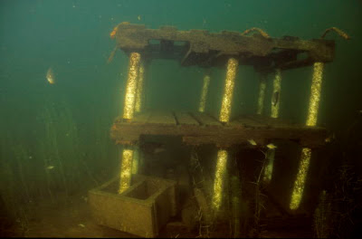 Underwater Fish Structure