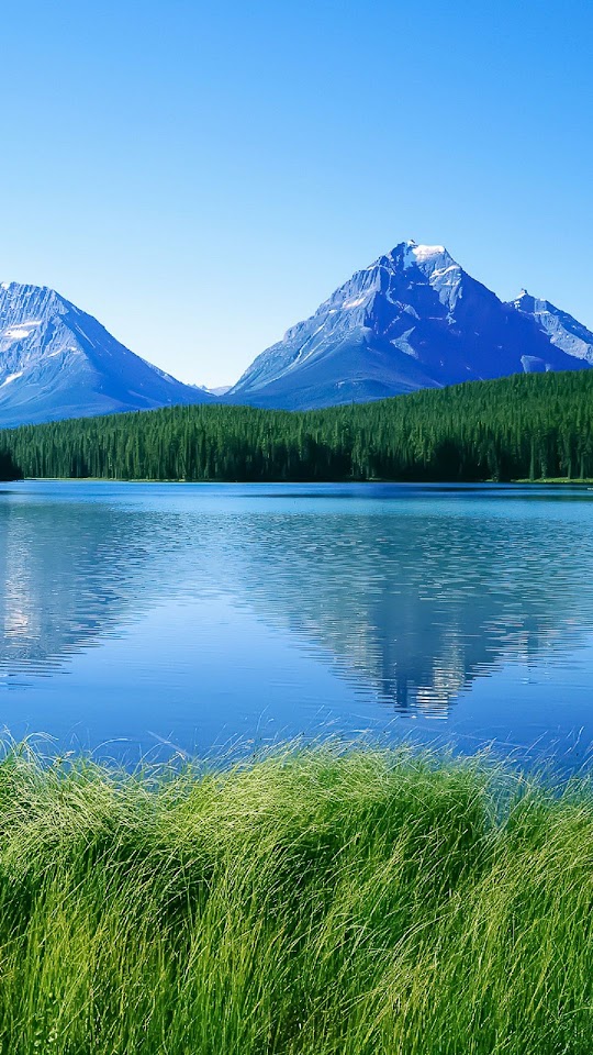 Blue Lake Mountains Green Grass  Android Best Wallpaper