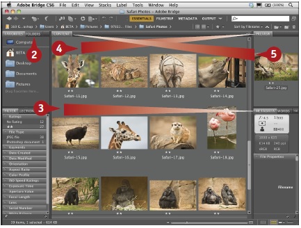how to uninstall adobe bridge cs6 how to uninstall adobe bridge cs6