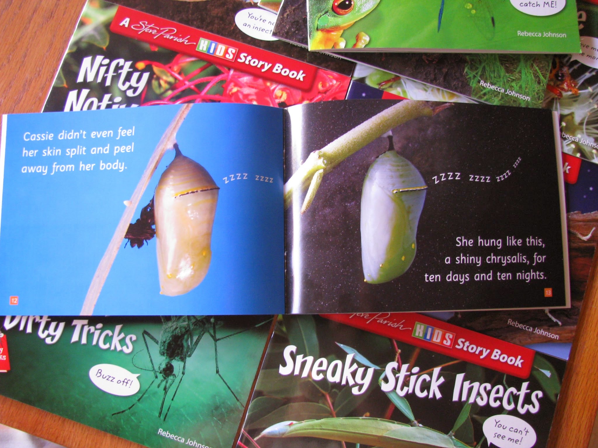 gone from my sight booklet free download