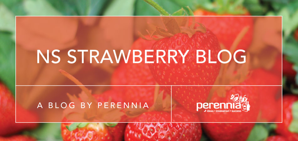 Nova Scotia Strawberry Blog