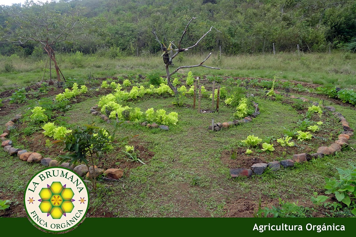 Curso de Agricultura Orgánica. Con Mario Mejía y Jorge Hernández