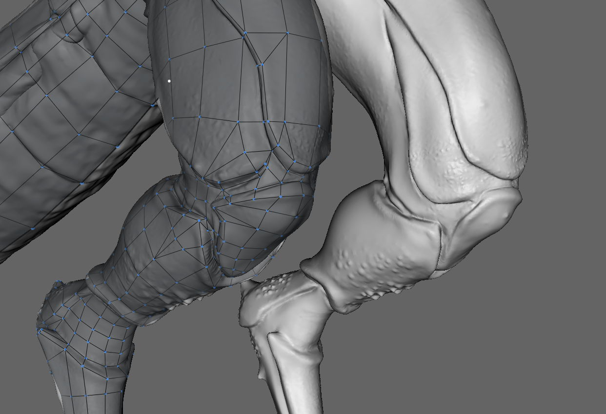 Knee1.png