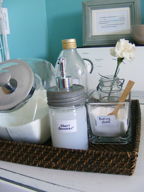 DIY Safe Cleaning Products Stain Remover