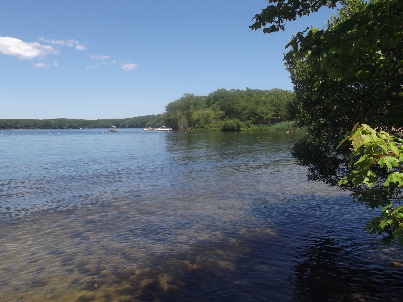 Hike Cape Cod Lowell Holly, Mashpee MA