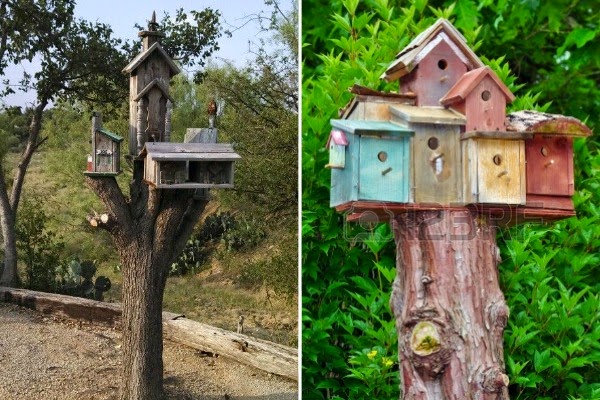 5 ideas para decorar el tocón de un árbol talado - Guia de jardin