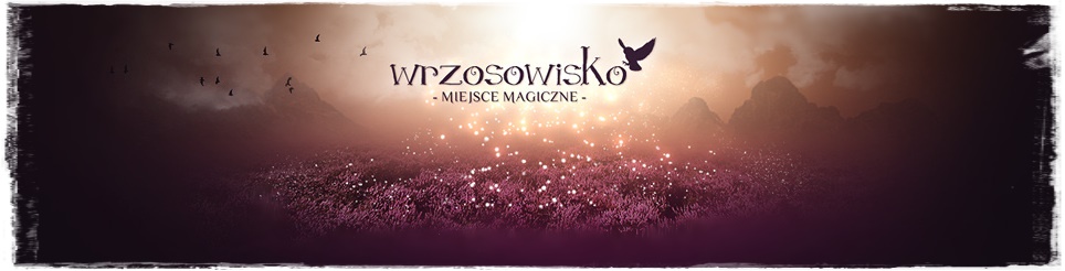 Wrzosowisko - miejsce magiczne | Blog