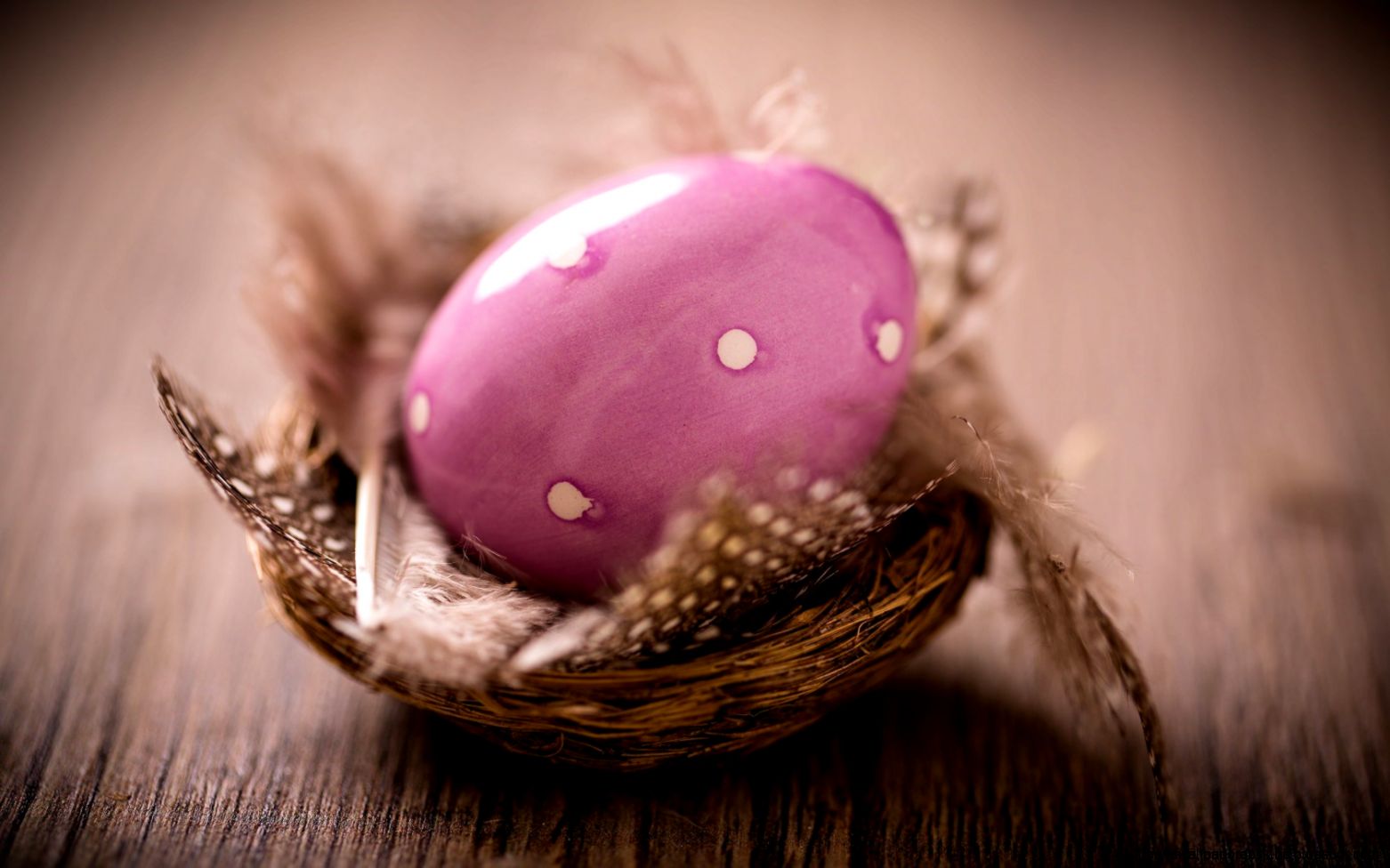 Happy Easter Egg HD Wallpaper FreeWallsUp Happy Easter Egg HD Wallpaper FreeWallsUp