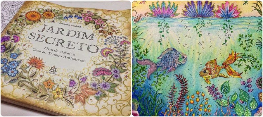 ideias para pintar livro jardim secreto:uma verdadeira genia em criar um livro como esses de pintura para ideias para pintar livro jardim secreto:uma verdadeira genia em criar um livro como esses de pintura para