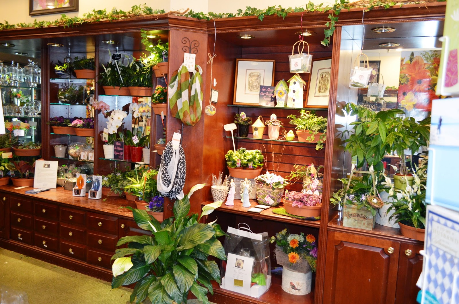 Plants and Stress Relief