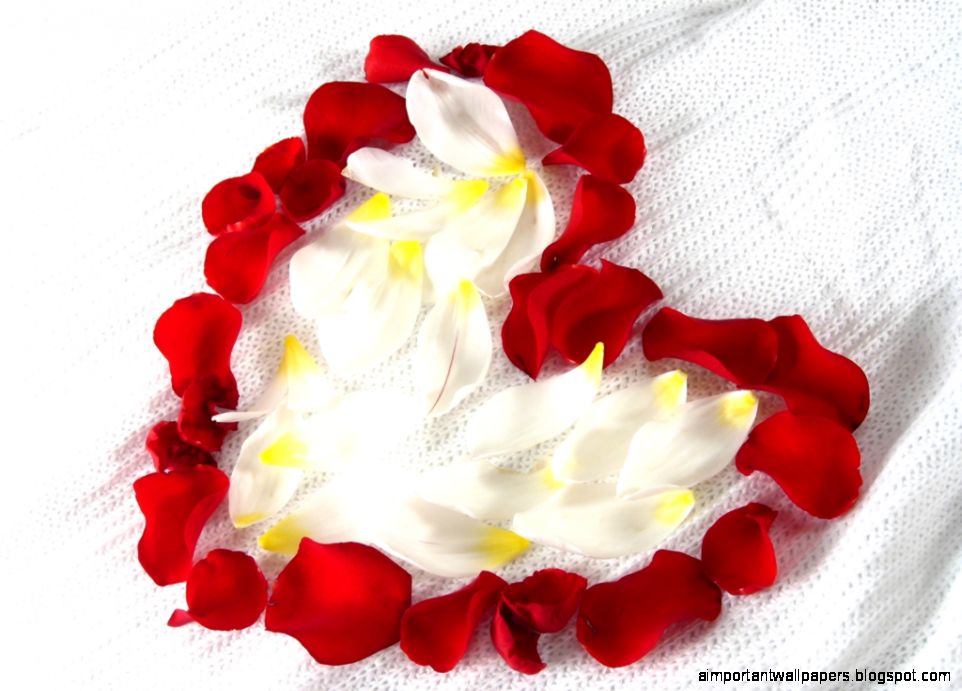 Rose Petal Heart pictures hd Rose Petal Heart pictures hd