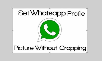 How To Set WhatsApp Profile Picture Without Cropping On Android or iPhone