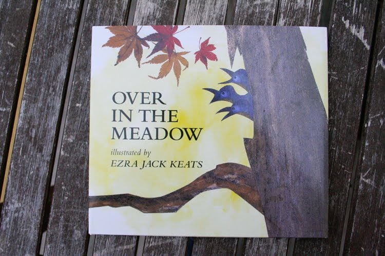 The Book Children Over In The Meadow