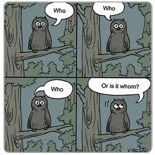 grammar owl