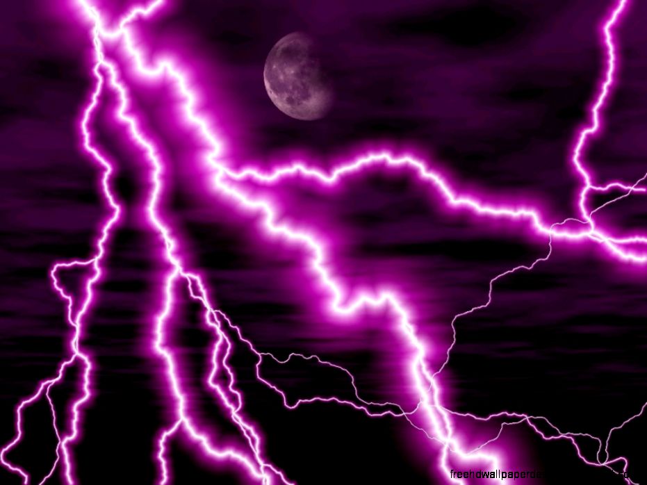 baby dragon purple lightning 343 Wallpaper Cool Wallpaper baby dragon purple lightning 343 Wallpaper Cool Wallpaper