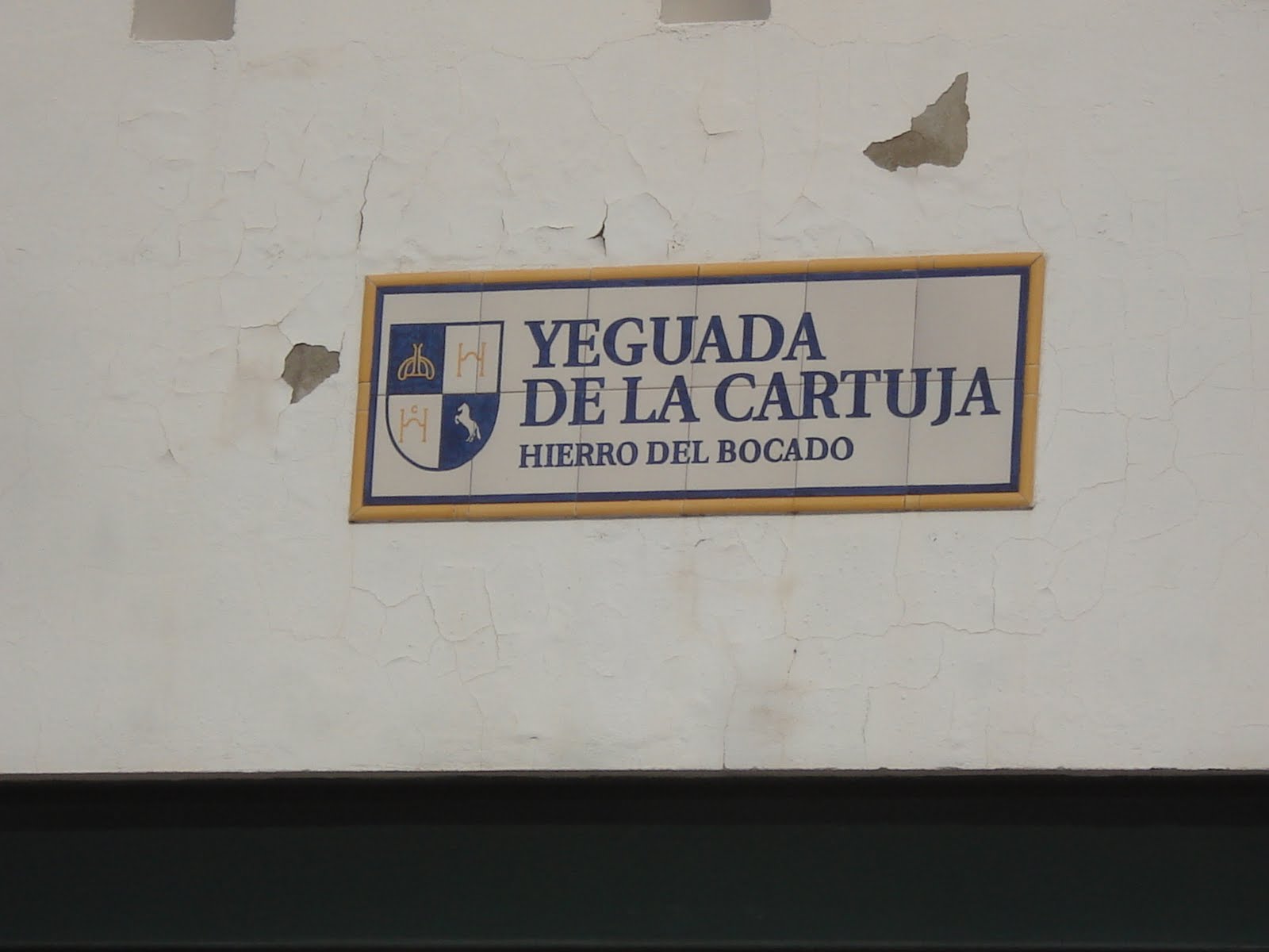 Pedro grande: stuteri