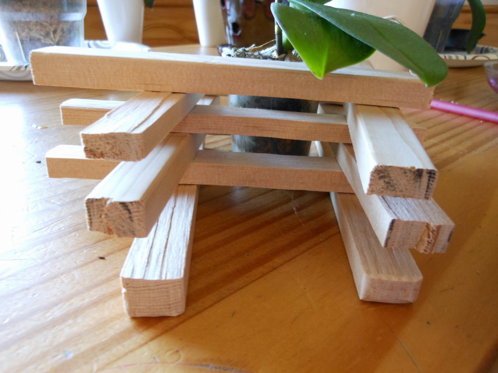 Orchid Obsession DIY Orchid Pot