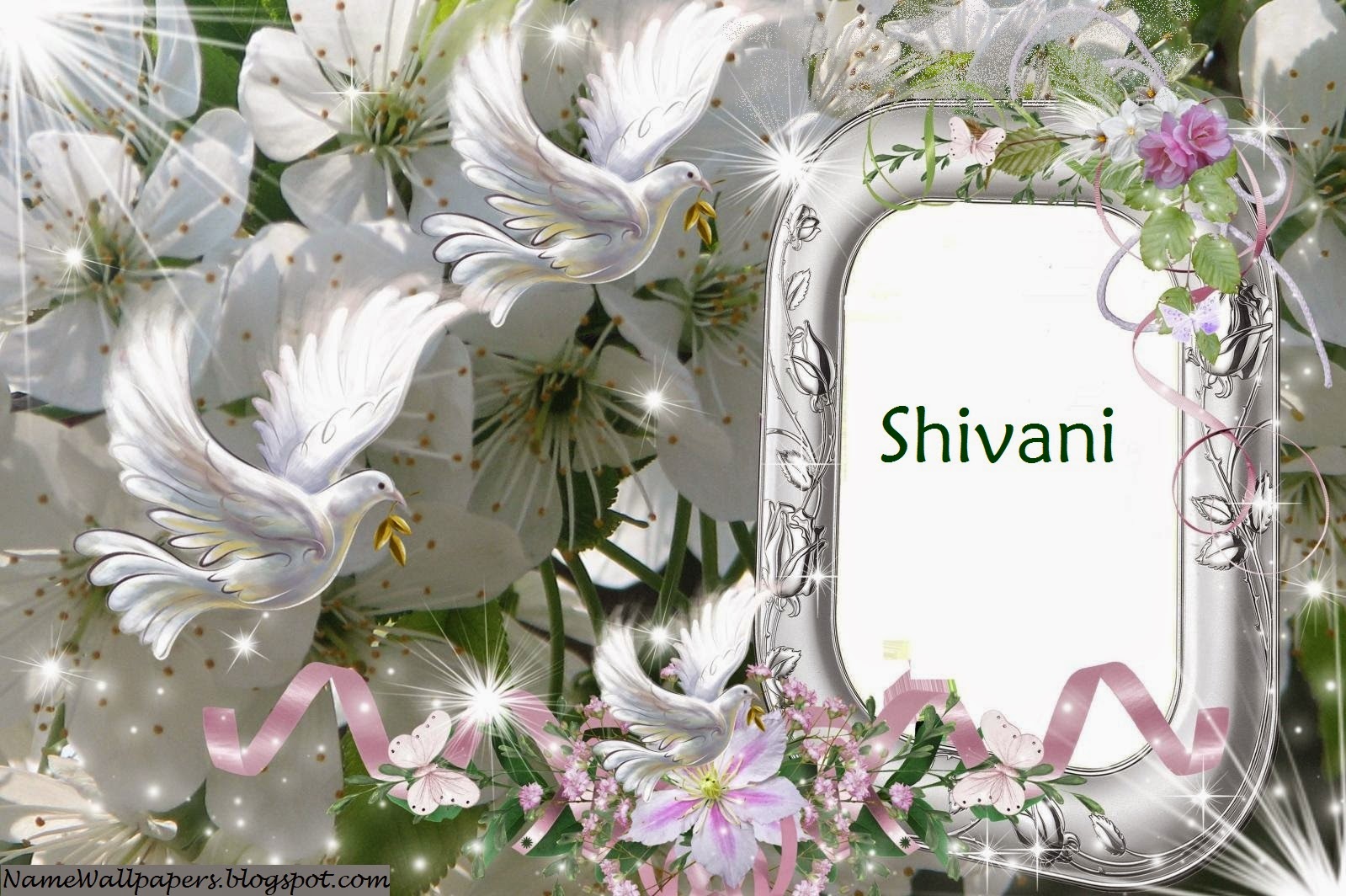 Shivani Name Wallpapers Shivani Name Wallpaper Urdu Name Meaning Name