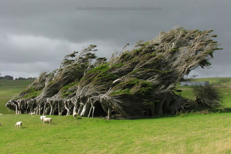 Beautiful Wallpapers for Desktop: Beautiful HD Wallpapers