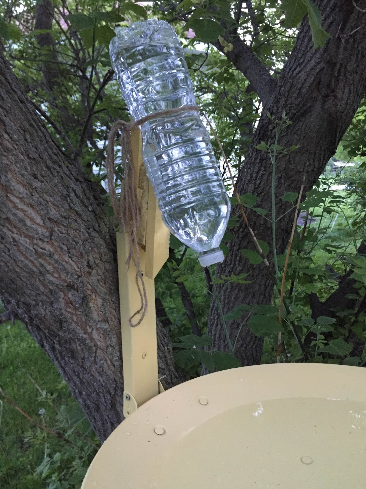 DIY Sunday Satellite Dish Bird Bath The Dabbling Crafter