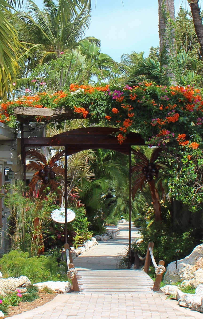 The Diary of The Botanic Gardens at Kona Kai July 2013