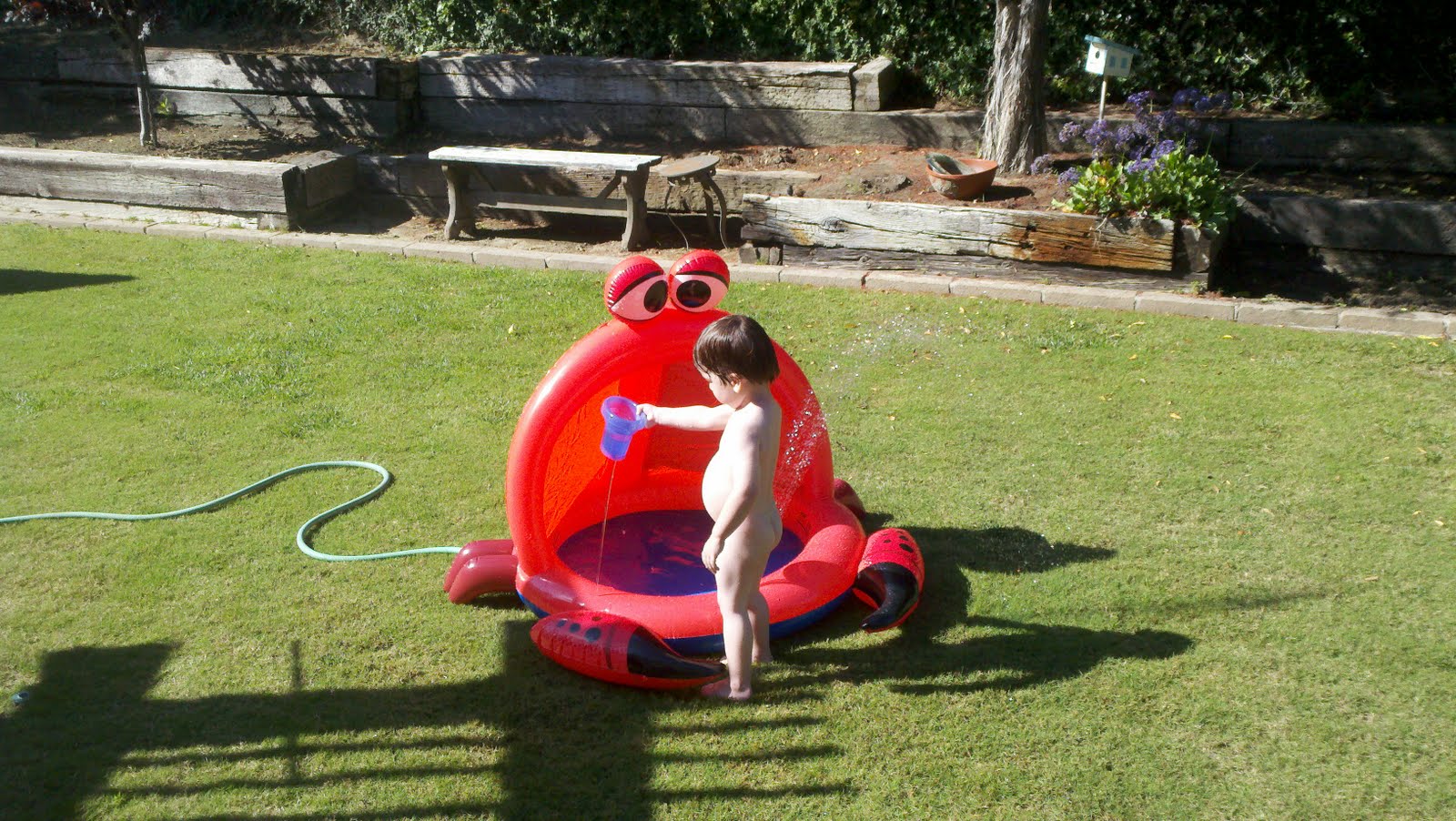 Baby Baxter's Blog