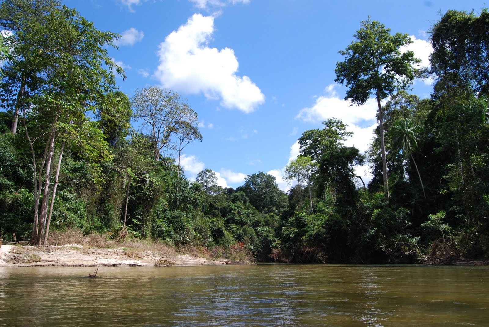 MY WATER, MALAYSIAN WATER Malaysian Water