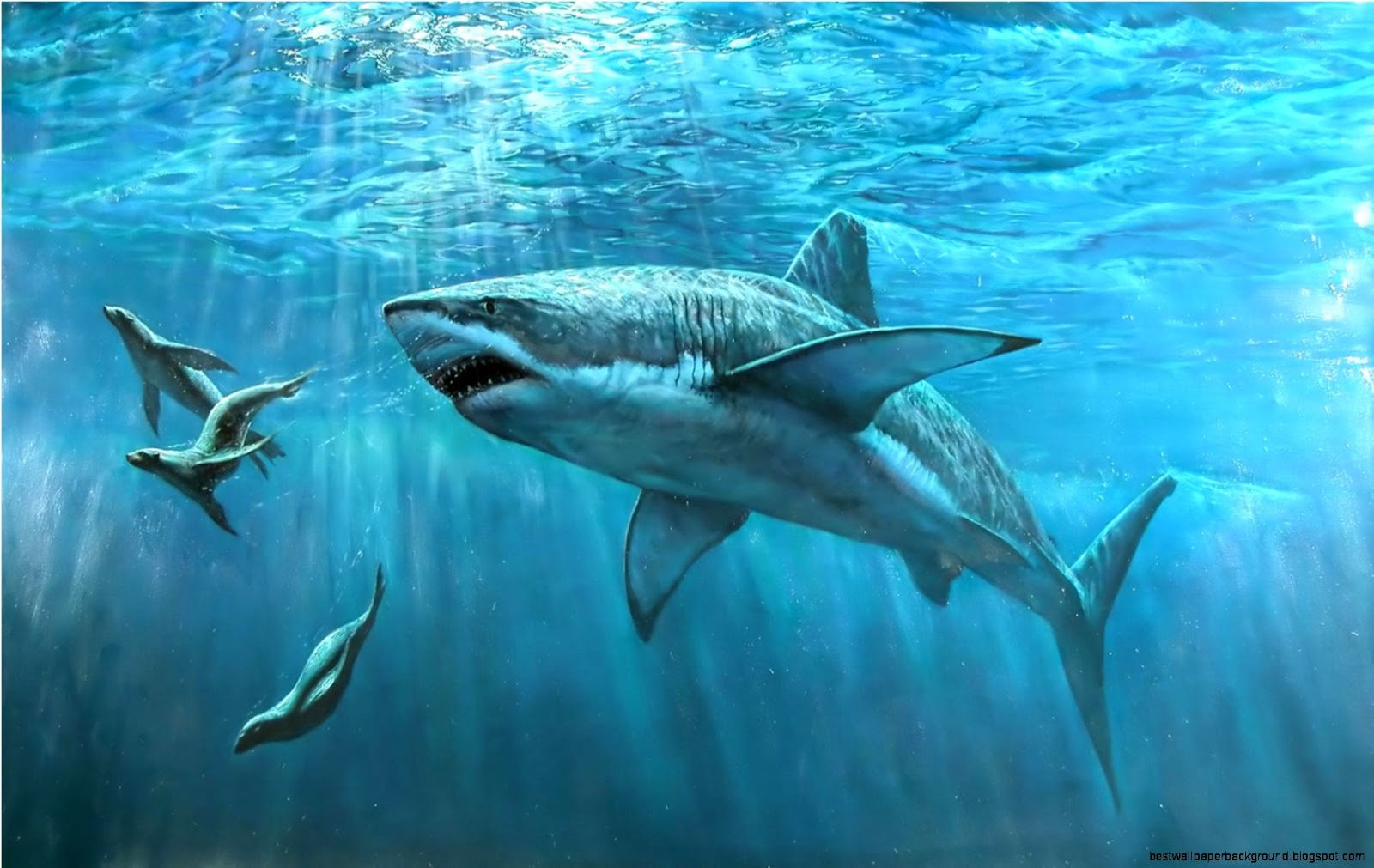 Great White Shark Painting Great White Shark Painting